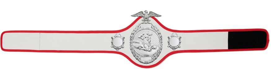 MMA CHAMPIONSHIP BELT- PRO288/S/MMAS - 10 COLOURS MMA CHAMPIONSHIP BELT- PRO288/S/MMAS - 10 COLOURS